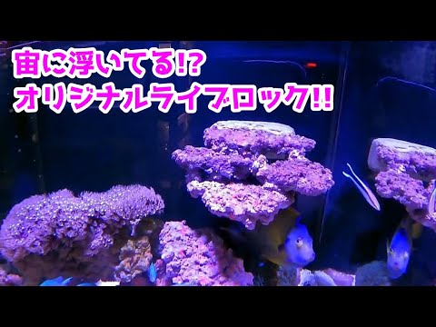 Mr. Shinoto, who created the floating live rock [Tallman TV