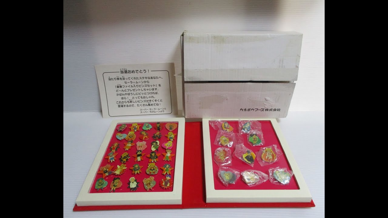 Sailor Moon Pins Collection won the prize Badges 40 Pin