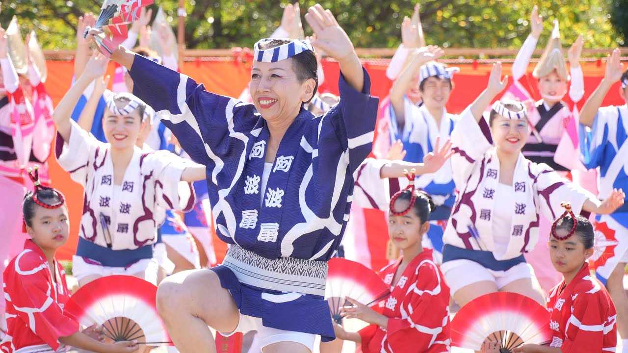阿波踊りの鉦 スター印 24号 蔓 撞木5本 帯座 セット 阿波踊りの鉦