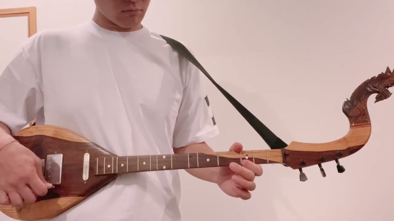 ピン エレクトリック01(タイ東北部の伝統的な弦楽器) / Phin electric