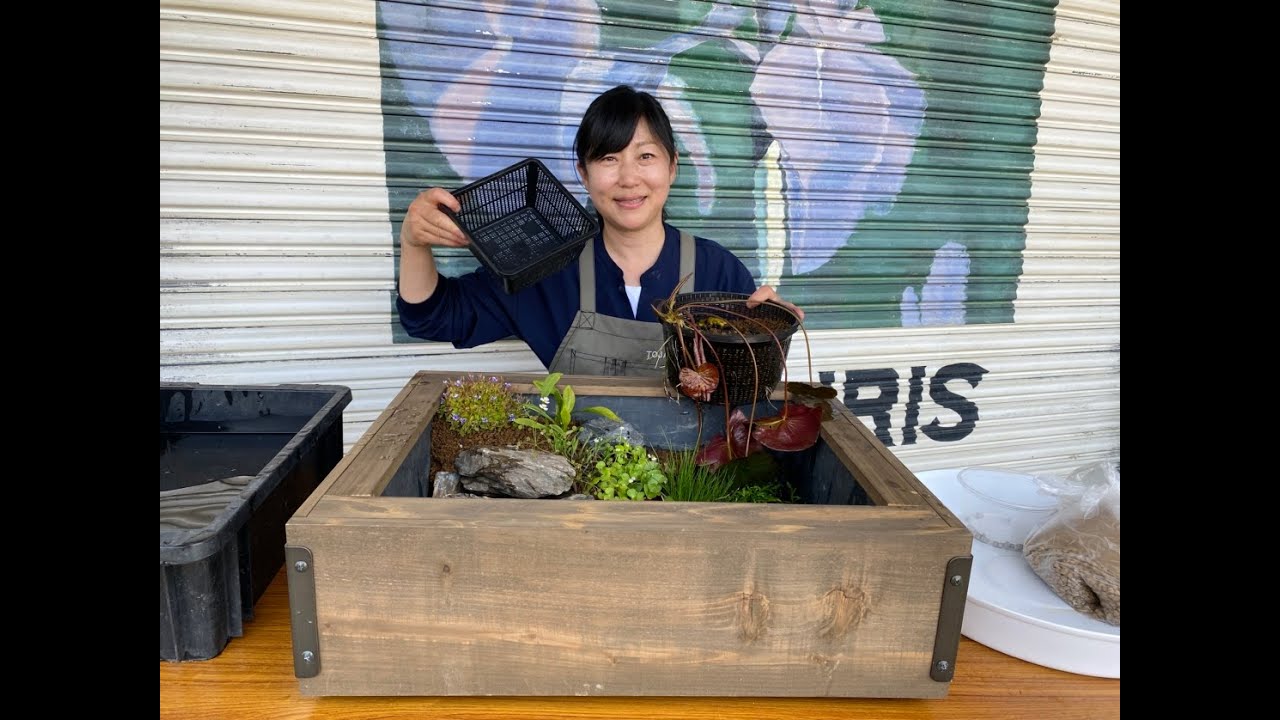 How to cut back overgrown aquatic plants - YouTube