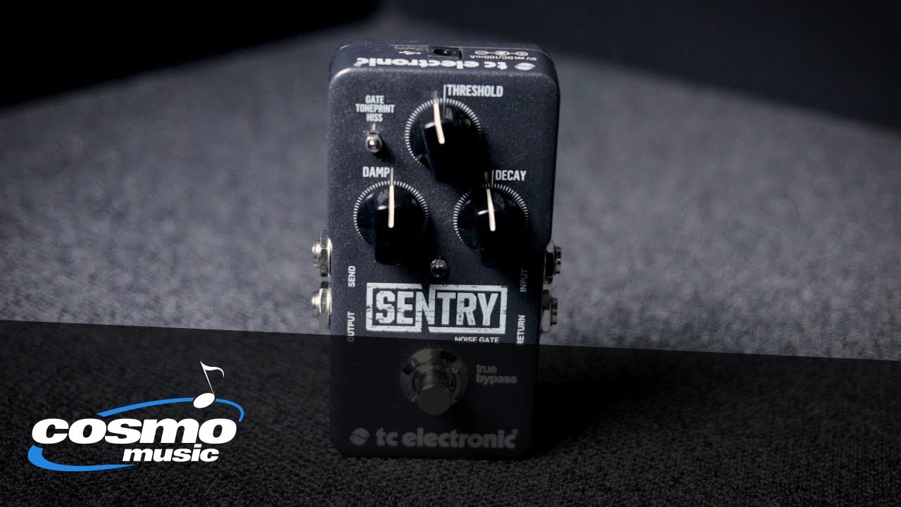 TC Electronic | Product | SENTRY NOISE GATE