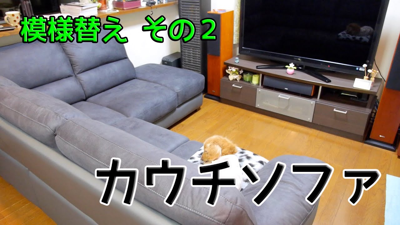 Nitori's couch is amazing! What are the weaknesses of the