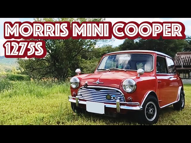 MORRIS MINI COOPER 1275S] The Mini is a car that you can't fault