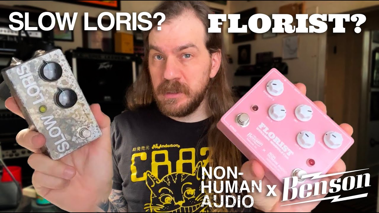 Slow Loris? Florist? What's the difference? // Non-Human Audio