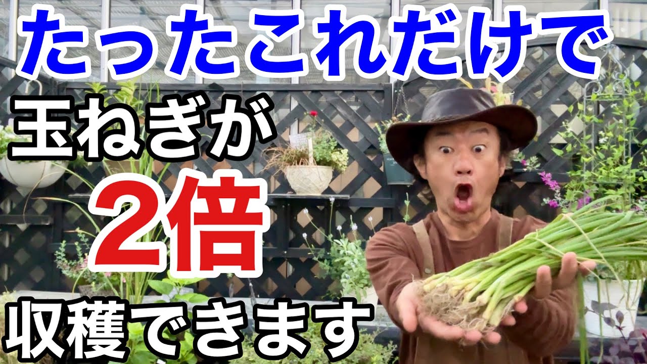 You'll regret not doing this] I'll teach you how to grow large