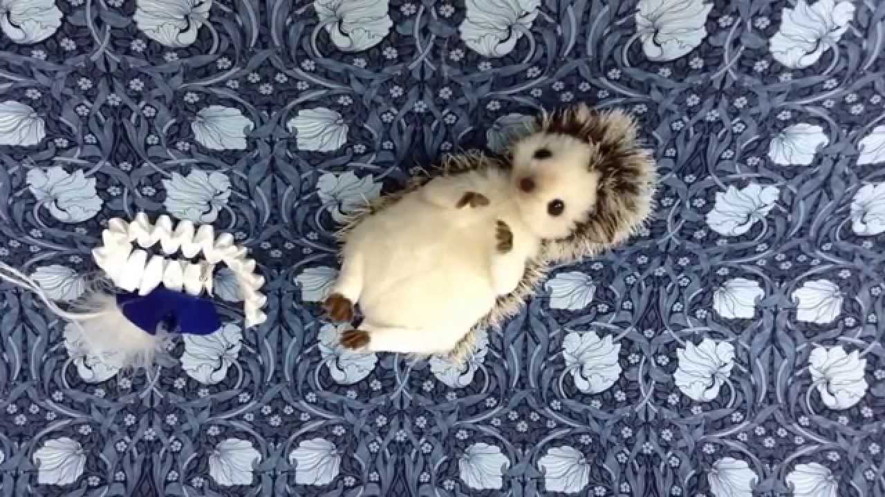 クロチョコクラフト