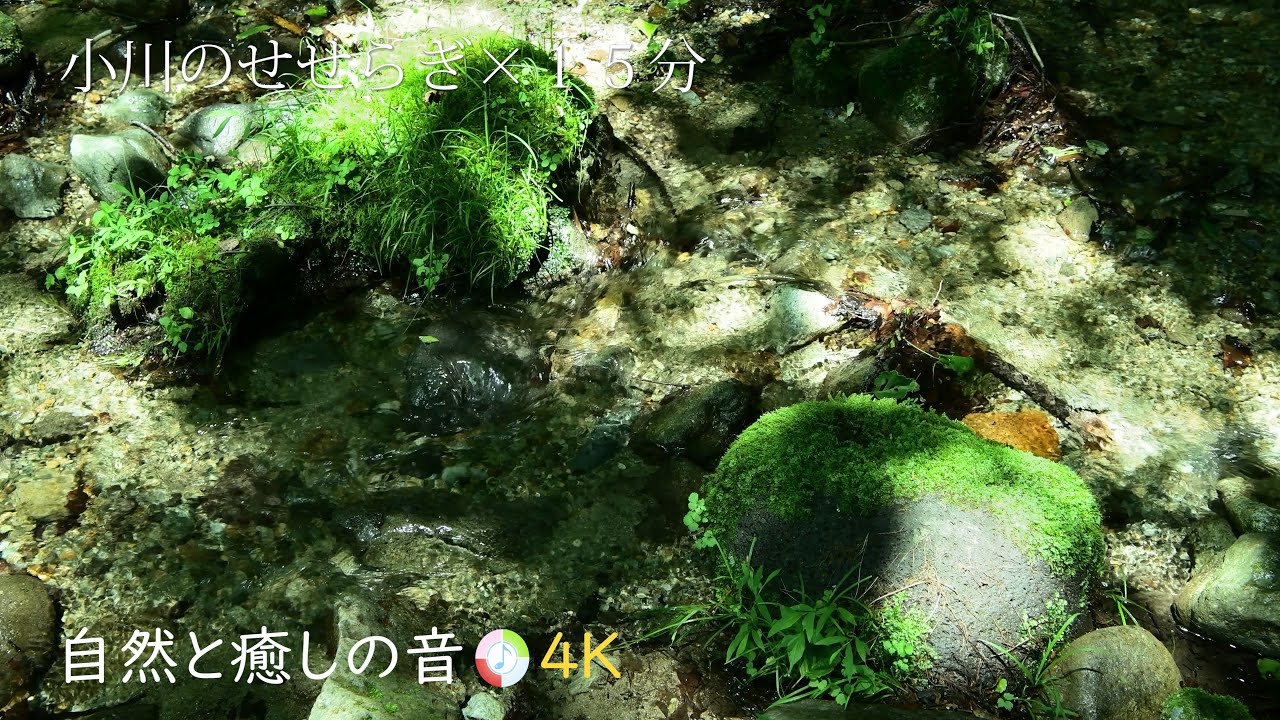 自然の音】心地よい水の音、小川のせせらぎ、癒し、リラックス、睡眠