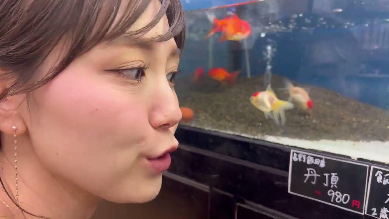 S.yairi YD-401 素晴らしきジャパンヴィンテージの世界！ #Syairi