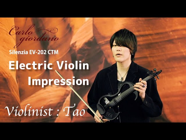 Carlo giordano Silenzia EV-202 CTM 紹介/演奏【Violinist：Tao