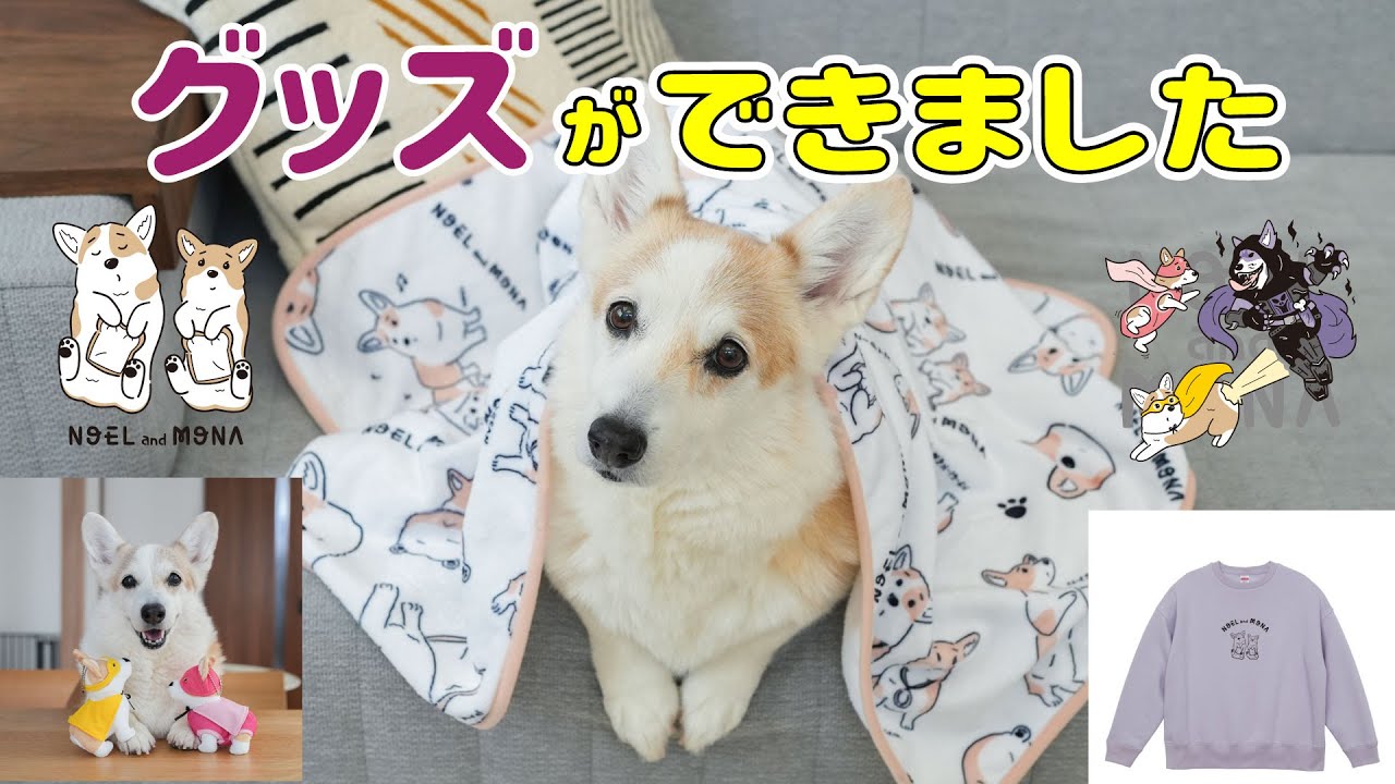 We have created Corgi goods that are packed with cuteness! - YouTube