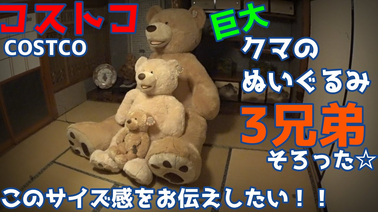 しょうたん コストコ 超特大クマのぬいぐるみ サイズ約236cm しょう