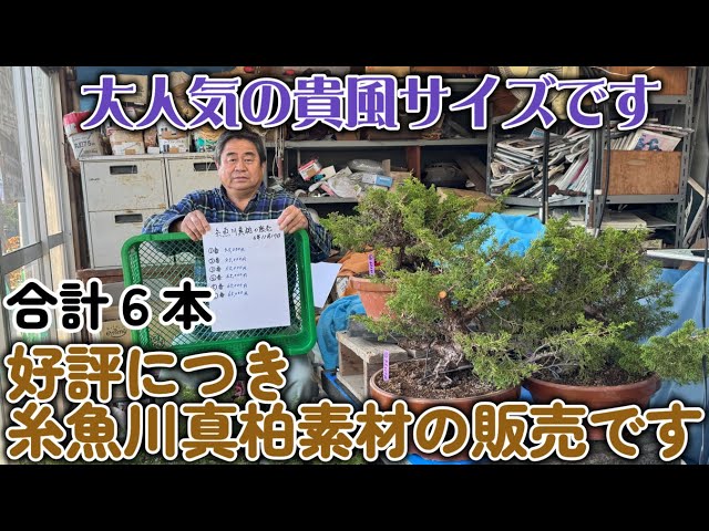 Sold out [Special Edition] Second time: Due to popular demand, we