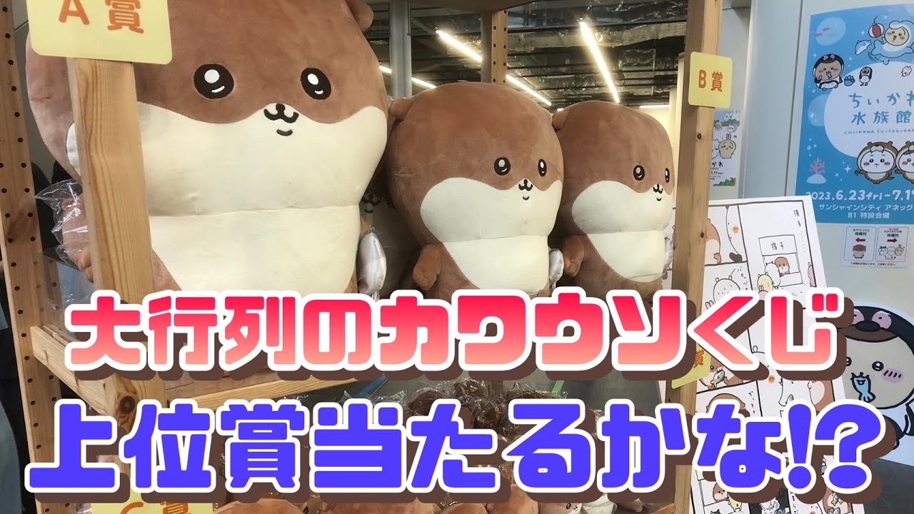 くじ引き】ナガノのカワウソぬいぐるみくじ引いてきた！！何が出ても