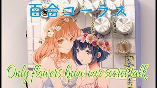 Brilliant lily flower chorus 