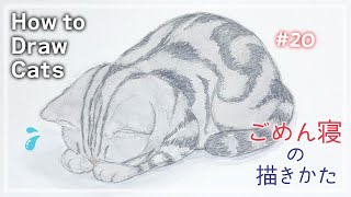 Drawing a Cat in the “Gomen-ne” Pose | Easy Step-by-Step Tutorial