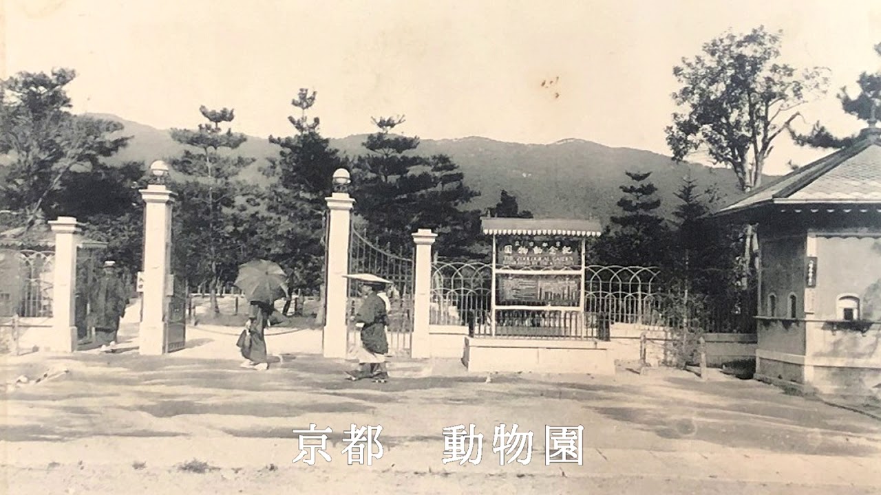 明治～昭和初期 絵葉書に写された京都【戦前絵葉書コレクション