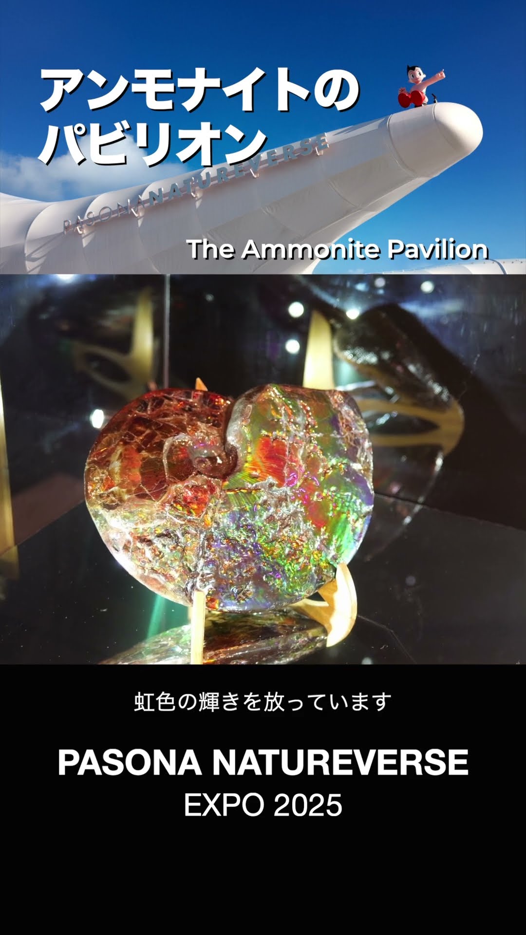 いのちの象徴” アンモナイトのパビリオン | PASONA NATUREVERSE