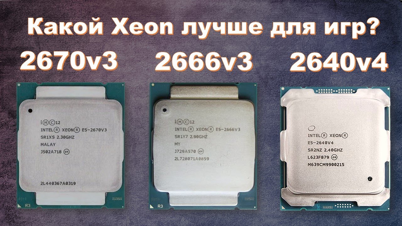 Тест Xeon 2670v3, 2666v3 и 2640v4. Rust, Cyberpunk и др. - YouTube