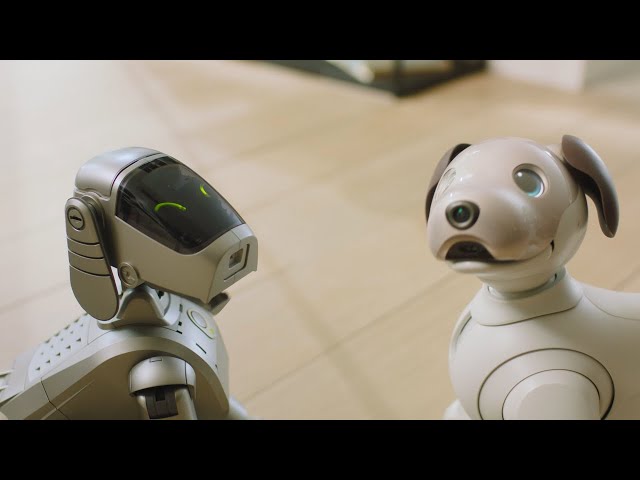 aibo 25th anniversary | Crafting stories together, now and beyond