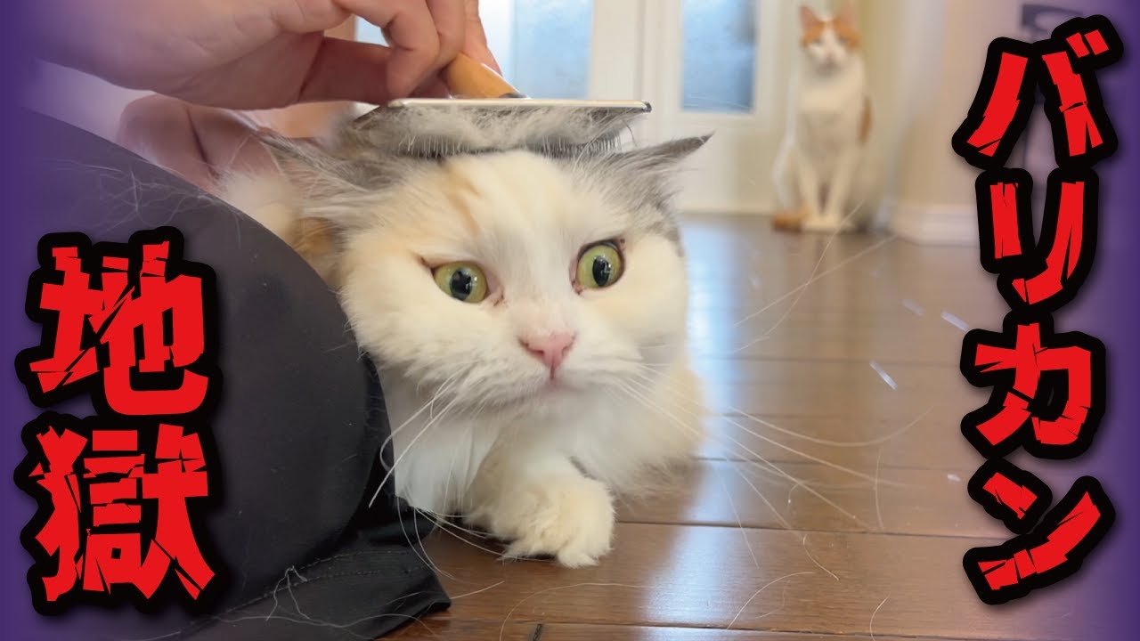 The hellish punishment of clippers for nail clippers has been