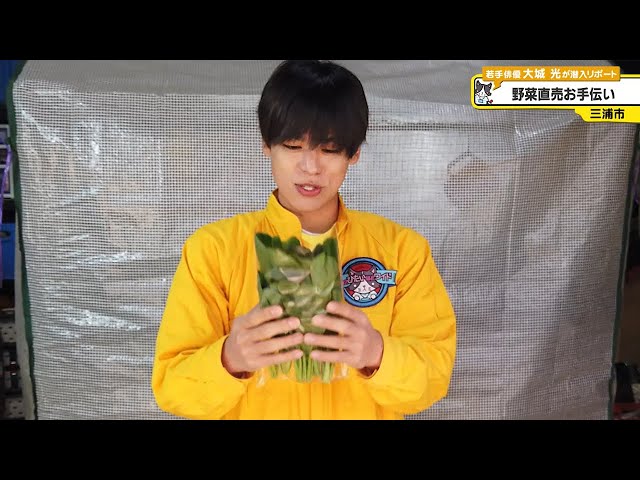 猫のひたいほどワイド #1513 潜入リポート・大城光「お世話になってる