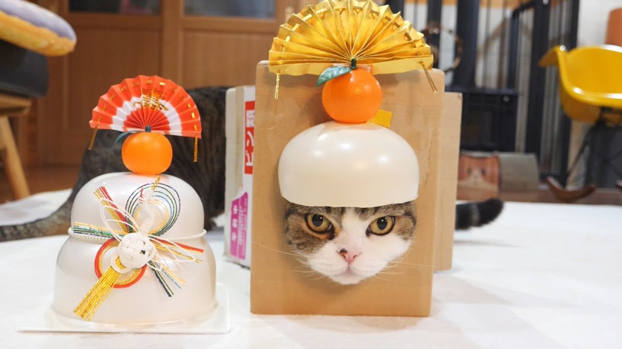 鏡餅製造マシーンとねこ。-Kagami mochi maker and Maru&Hana.- - YouTube