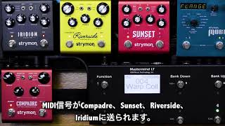strymon | SUNSET | デュアル・オーバードライブ | 製品情報