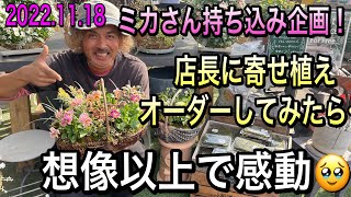 Planting] First time! Order a planting from the store manager