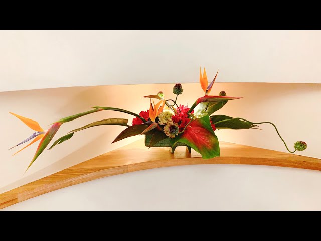 sddefault.jpg?v=5c9494da