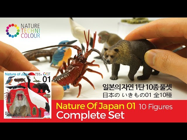 Nature Of Japan vol.01 (Nature Techni Colour) - YouTube