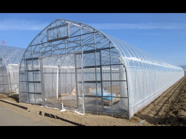 農業用パイプハウス(ビニールハウス)の建て方をCAD画面を使って説明