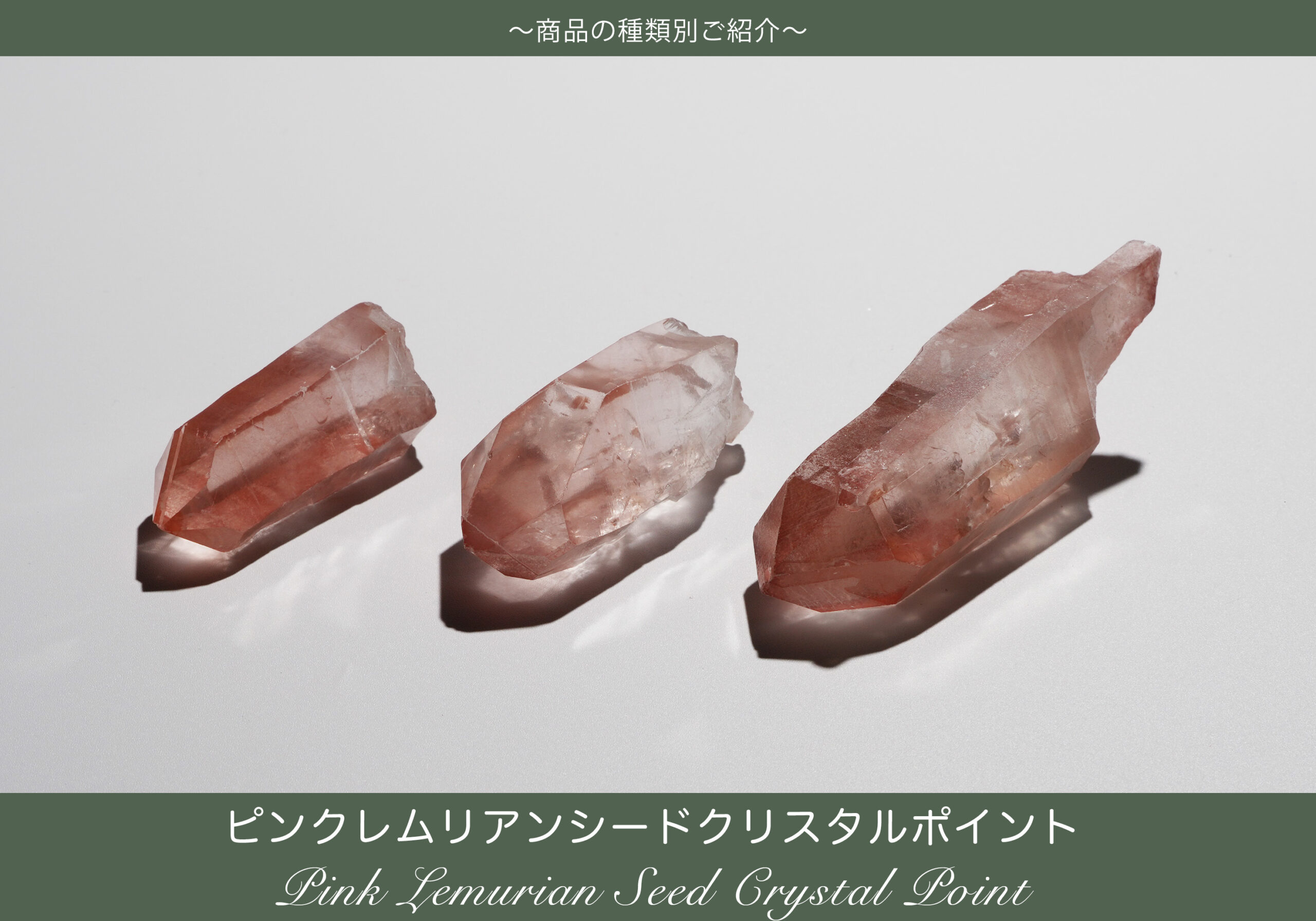 pinklemurian_hp-scaled.jpg?fit