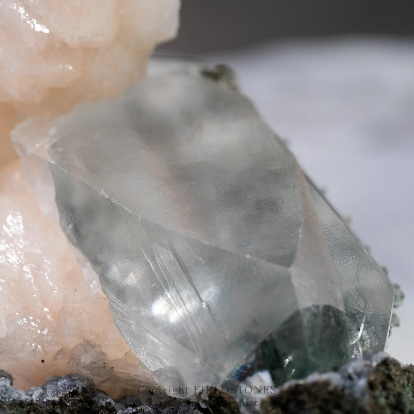 なんだこりゃ？が面白い！カルサイト・スティルバイト共生標本・インド