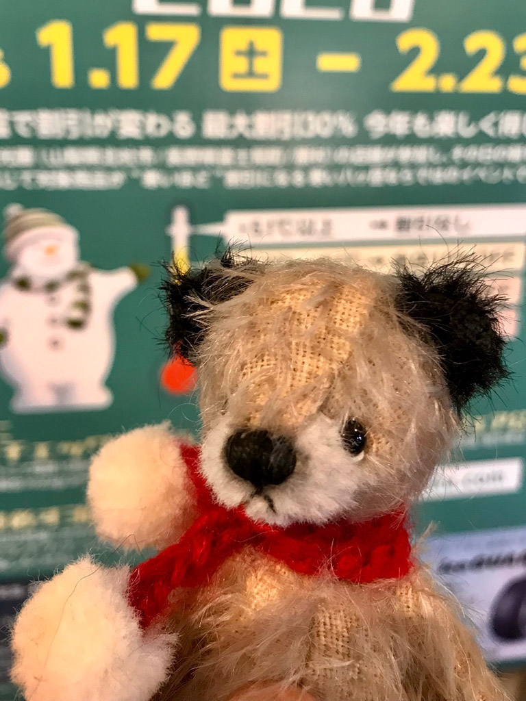 アーティストテディベア | 清里高原メイフェア