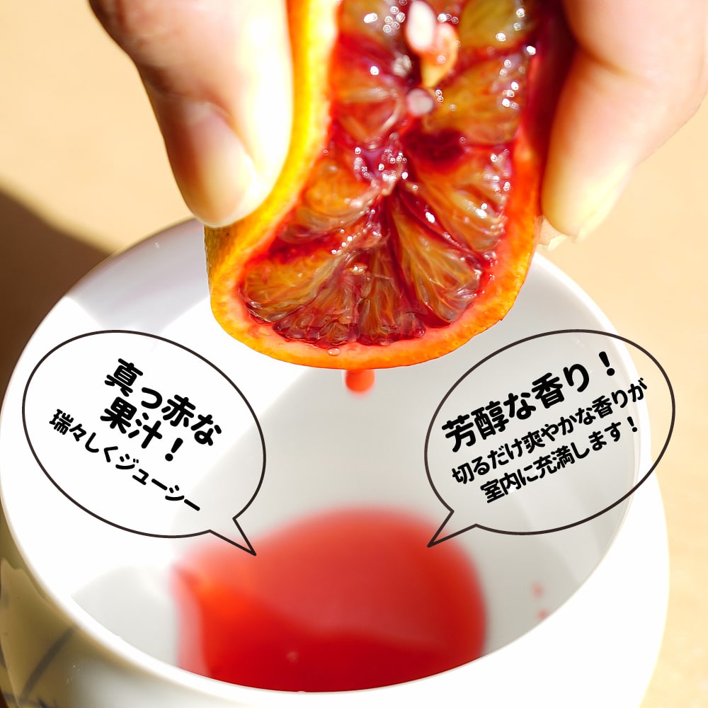 モロ 柑橘 ブラッドオレンジの特徴と育て方 | 苗木部の部室 〜苗木