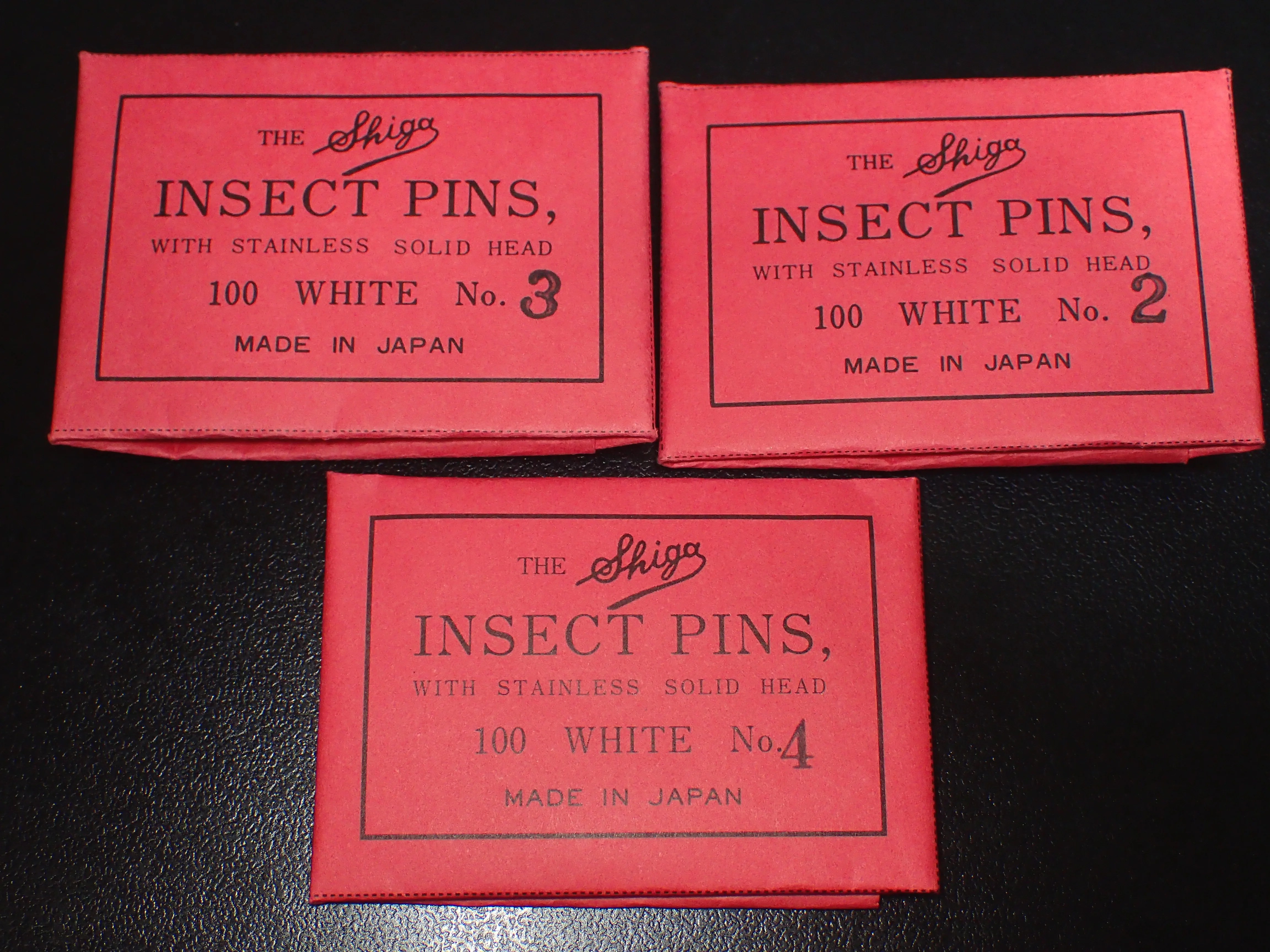 昆虫標本の作成方法 | わたくわの飼育記