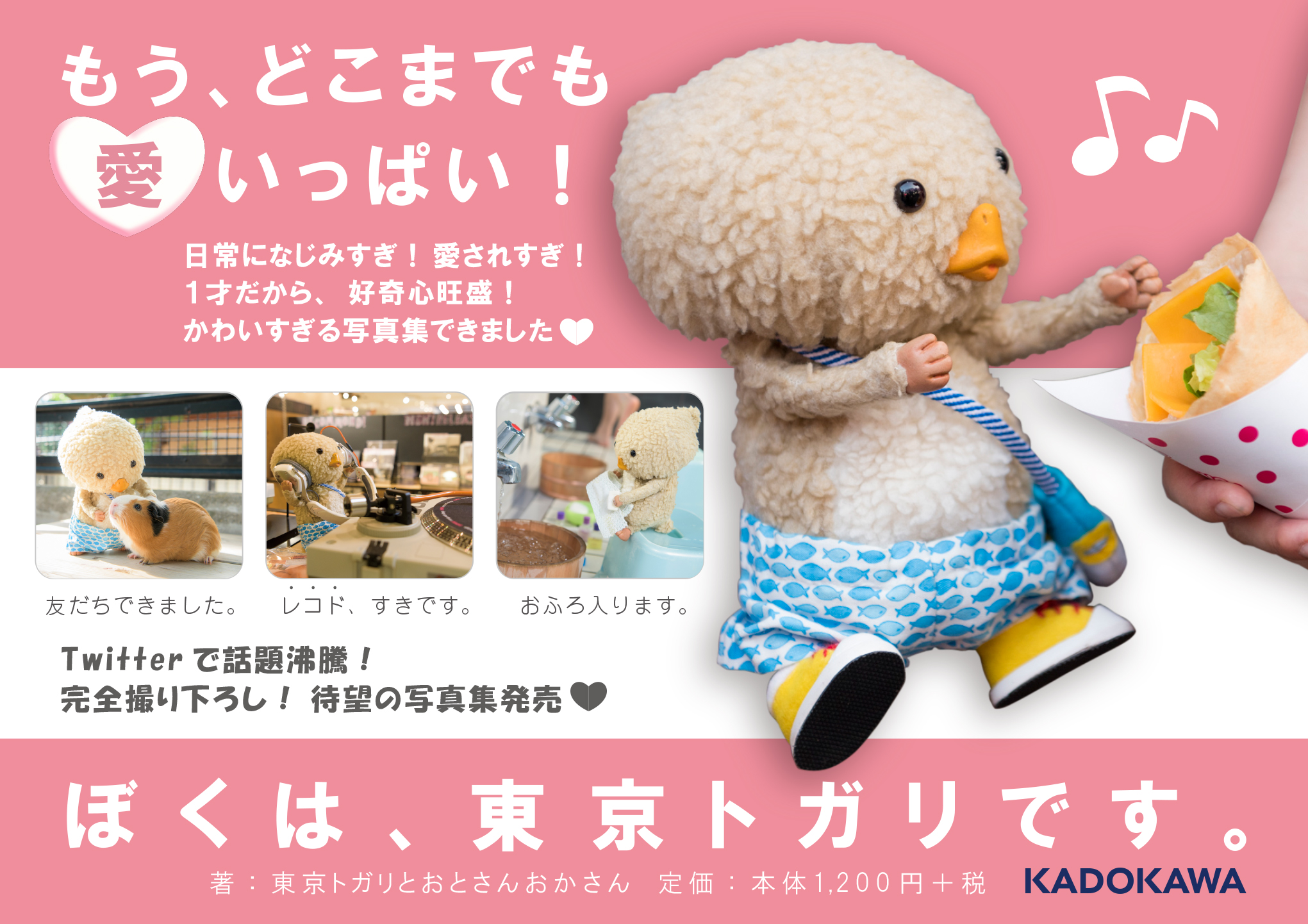 Tokyo Togari's official HP | 東京トガリ公式HP