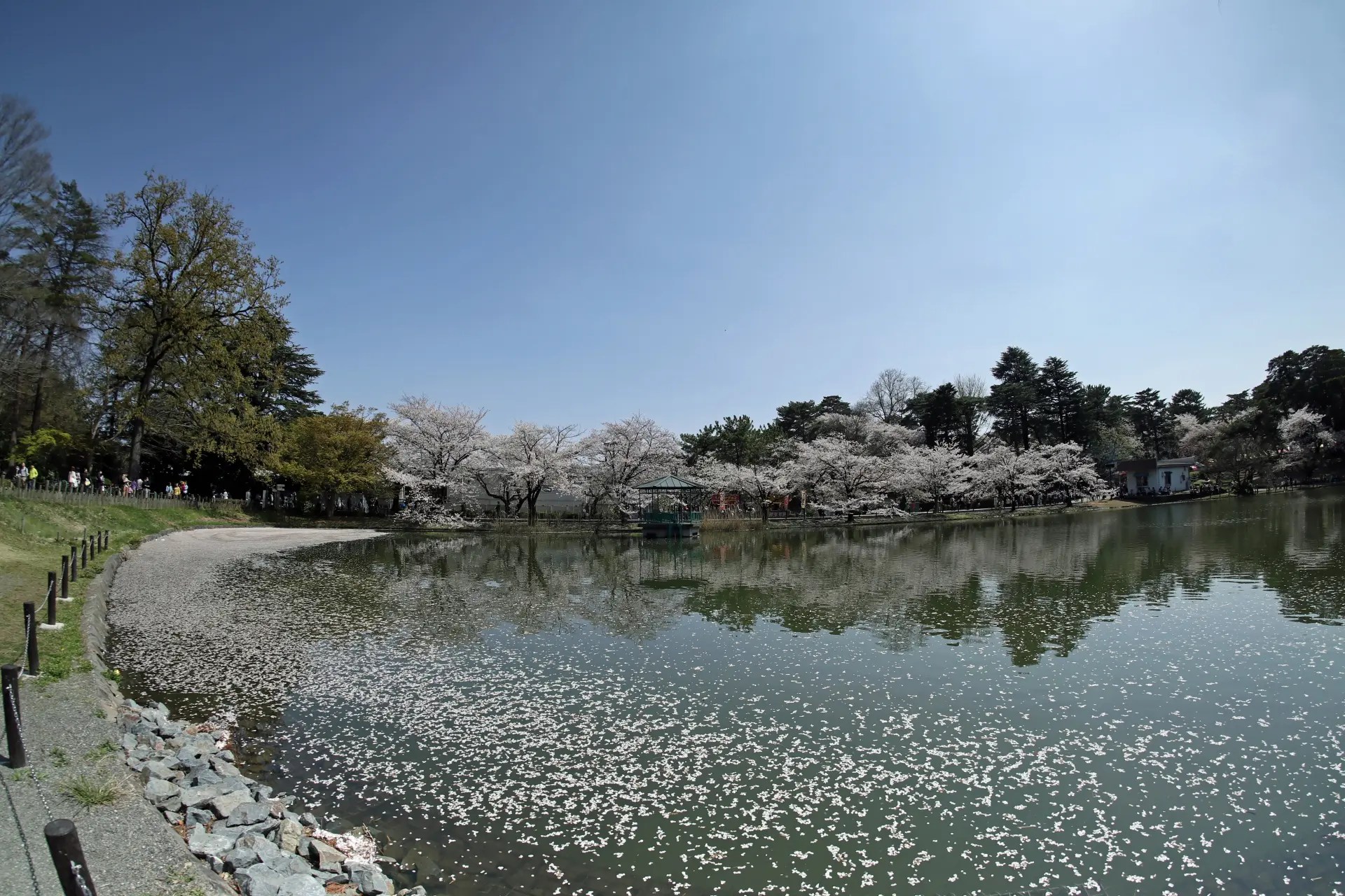 SA000101-1.jpg?fit=1920,1280&ssl=1