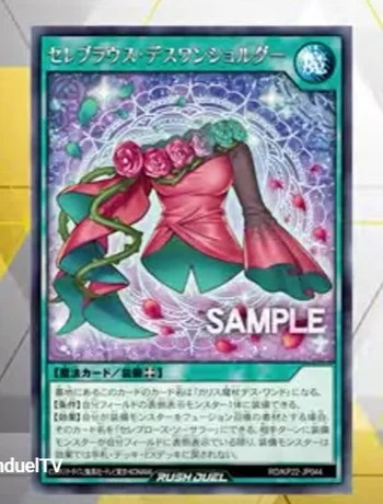 セレブローズ新規】「セレブラウス・デスワンショルダー」効果公開