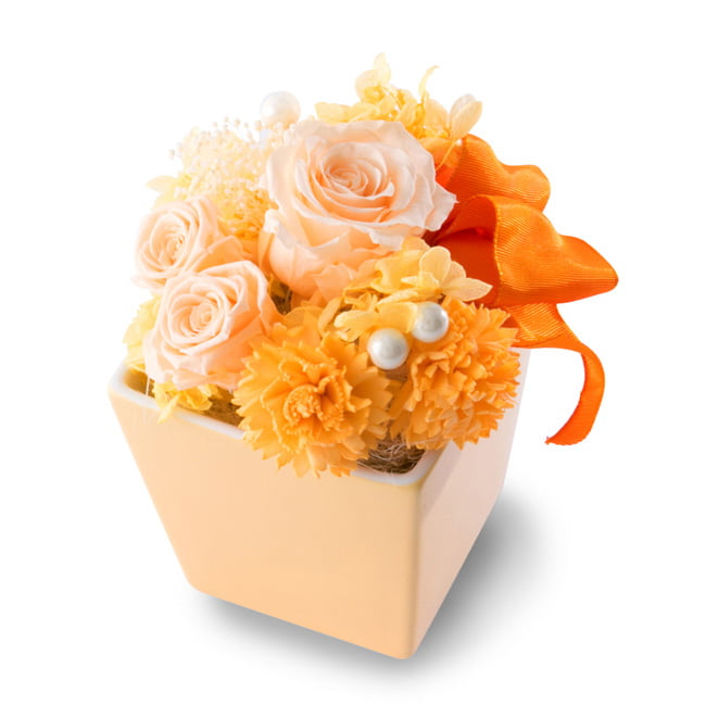 Joie! プリザーブド オレンジ | 祝電商品 | 【電報サービス】VERY CARD