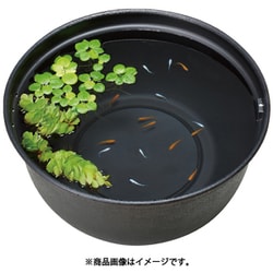 ヨドバシ.com - GEX ジェックス メダカ元気 メダカのための飼育鉢 黒