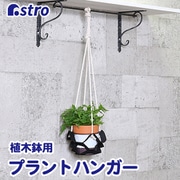 ヨドバシ.com - グリーンポット貿易部 モードライト キューブ 55cm EB