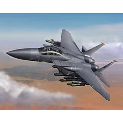 ヨドバシ.com - ハセガワ Hasegawa F-15E ストライクイーグル [1/72