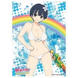 ヨドバシ.com - エンスカイ ensky キャラクタースリーブ 閃乱カグラ