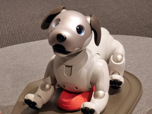 aiboはオーナーと物語を紡げる」──平井社長、復活した“犬型ロボット