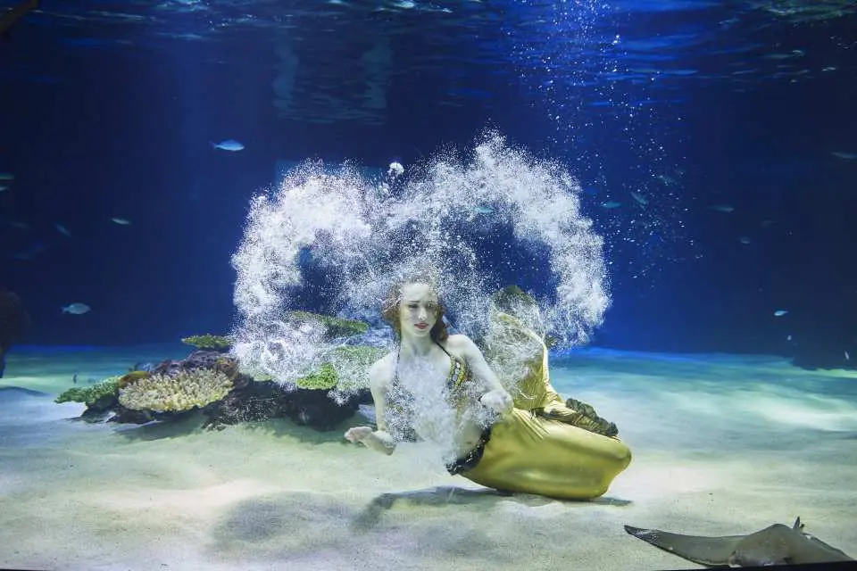 ソウル 63スカイアート展望台＋水族館「アクアプラネット63」割引入場