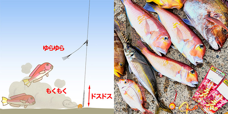 カルティバ(Cultiva)「ガチの甘ラバサビキ」 | ルアーバンク公式ストア