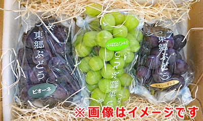 三色セット・三種セット | ファーム森園