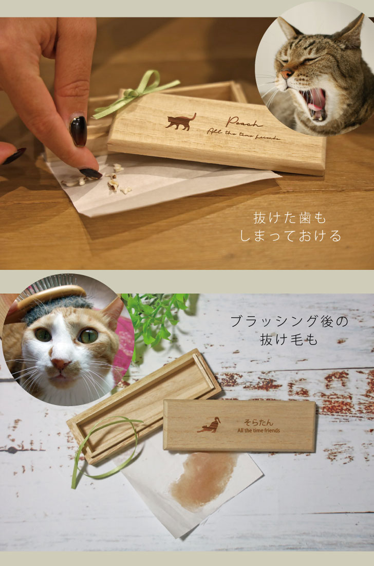 楽天市場】【 マラソン中 P5倍 】 うちの子 ひげケース 猫 ギフト